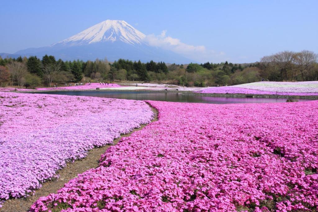 Manten-No-Hoshi Hakone Bagian luar foto